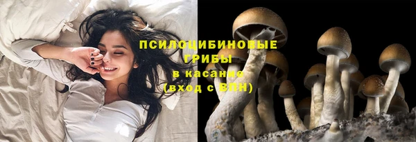 2c-b Богданович