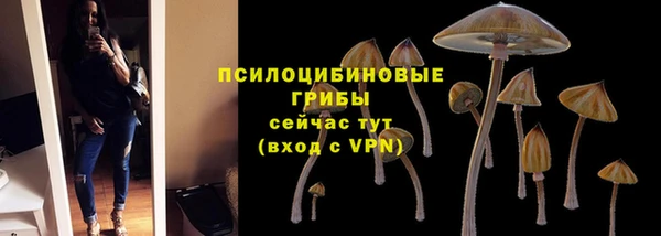 2c-b Богданович