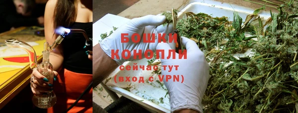 мет Бородино